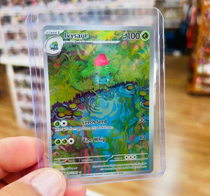 Pokémon Card Collectibles Homestead