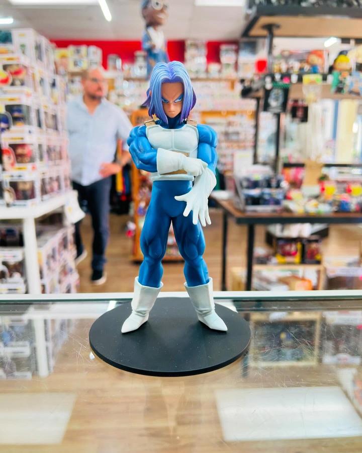 Anime Figurine Collectibles Homestead